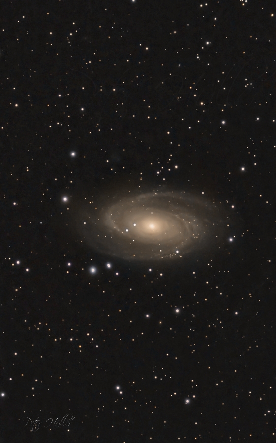 Spiral Galaxy M81, M81 befindet sich im Sternbild Großer Bär