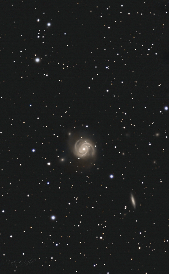 Galaxie M100