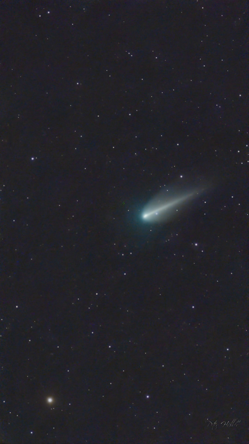 Komet 220P/McNaught